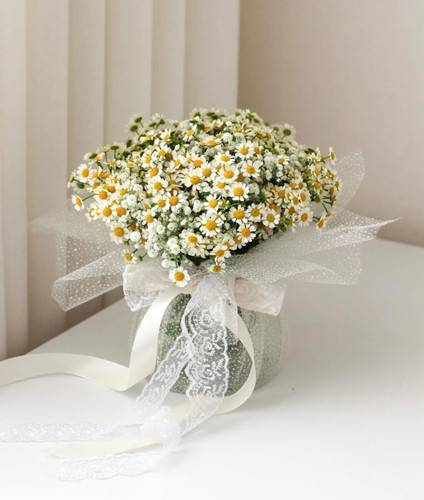 جار گل بابونه کد 1016